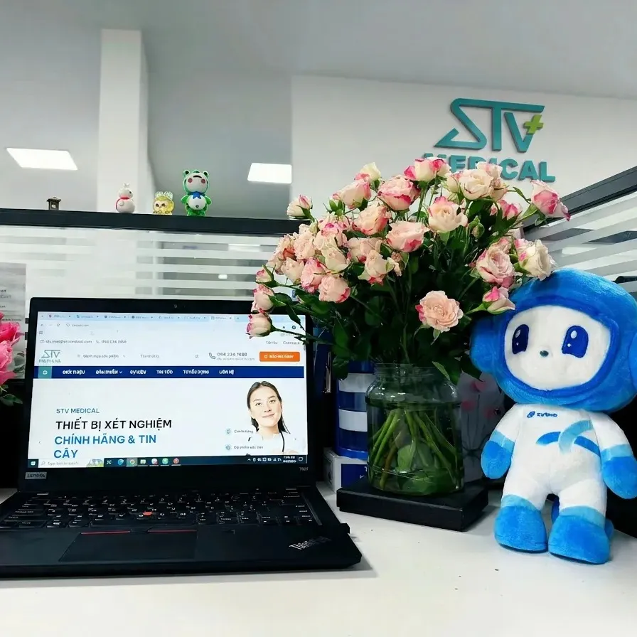 Văn Hóa STV Medical: Môi Trường Làm Việc Chuyên Nghiệp, Năng Động Và Tận Tâm